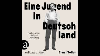 Ernst Toller  Eine Jugend in Deutschland  Die Andere Bibliothek Band 469 [upl. by Eynttirb]