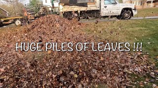 Huge Leaf Clean Up The Right Way ll Billy Goat Debri Loader Destroys Leaves [upl. by Eiro645]