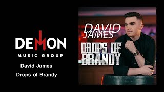 David James  Drops of Brandy [upl. by Lerad]