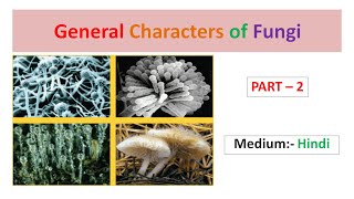 General Characters of Fungi Part2 Hindi [upl. by Desai770]