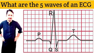 What are the 5 waves of an ECG In Urdu Hindi ECG QRS complex  Explain ECG  EKG Waves Irfan Azeem [upl. by Luke795]