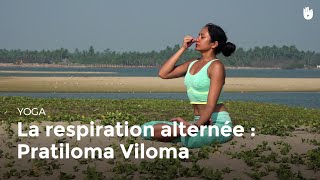 Apprendre la technique de la respiration alternée inversée  Pratiloma Viloma  Apprendre le Yoga [upl. by Anehsak]