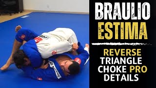 Reverse Triangle Choke Details You Need To Know By BRAULIO ESTIMA [upl. by Ennahtur]