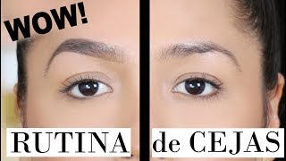 Cejas Perfectas Facil Paso a Paso  Eyebrow Tutorial  Ydelays [upl. by Eerrehs215]