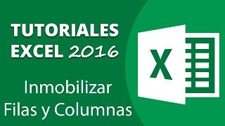 Como Inmovilizar Filas y Columnas en Excel 2016 [upl. by Cline799]