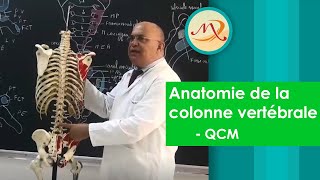 Anatomie de la colonne vertébrale QCM [upl. by Aira]