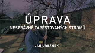 ÚPRAVA nesprávně zapěstovaných stromů [upl. by Eisac]