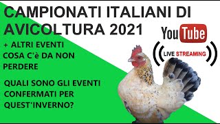 CAMPIONATI ITALIANI DI AVICOLTURA 2021 altri eventi da non perdere [upl. by Winonah]