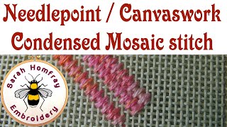 Condensed Mosaic stitch in needlepoint  canvaswork embroidery  Needlepoint stitches video tutorial [upl. by Nerdna]