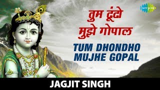 Tum Dhondho Mujhe Gopal  तुम ढूंढो मुझे गोपाल  Krishna Bhajan  कृष्णा भजन Jagjit Singh [upl. by Lamaaj477]