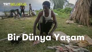 Bir Dünya Yaşam  Afrikada Balıkçılık  TRT Belgesel [upl. by Miyasawa]