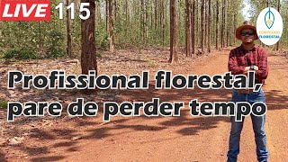 LIVE 115  Tudo sobre o curso de inventários florestais [upl. by Hike]