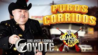 El Coyote y Su Banda Tierra Santa  MIX 35 Corridos Pesados Perrones Vol3 [upl. by Dalston606]