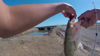 Nice bass in Firebaugh CA [upl. by Matthei]