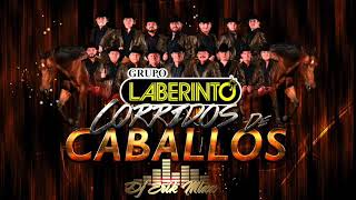 Grupo Laberinto  Corridos de Caballos Mix 2019 Dj Erik Mixx [upl. by Ahsimek]