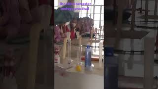 short video preparation of buffer solution [upl. by Oeramed]