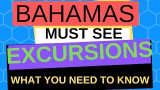 BAHAMAS SHORE EXCURSIONS  COMPLETE GUIDE [upl. by Nosidam]