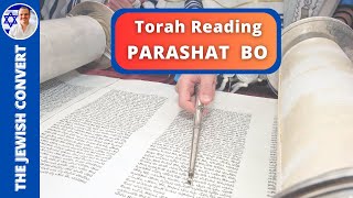 PARASHAT BO  Weekly Torah Reading in Hebrew amp English Translation  TORAH STUDY [upl. by Einalem]