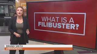 How a filibuster works [upl. by Nisay]