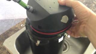 Priming an Eheim classic canister filter [upl. by Werra]