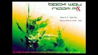 Back Way Riddim Mix Apr 2012 Cashflow  Madhouse Records [upl. by Asillam]