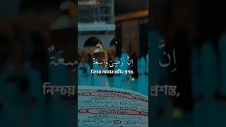 quran tilawatshortsfeed shorts short shortvideo shortsviral beutifull mostbeutiful best [upl. by Drannel]