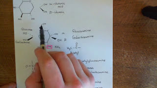 Antithrombin 3 and Heparin Part 7 [upl. by Delila]