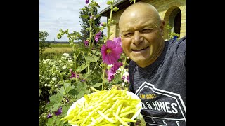 que faire en avril au jardin semer les haricots verts sous serre [upl. by Peggy]