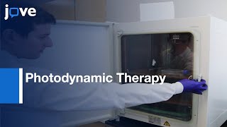 Photodynamic Therapy In vitro Approach  Protocol Preview [upl. by Coy]