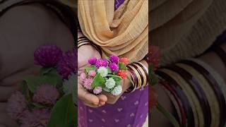 Gompherna Bogada banti four colours vadamalli gomphrena బొగడబంతి mygarden gardening shortvideo [upl. by Ahsek]