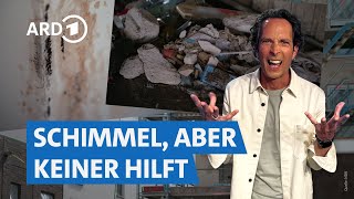 Mieten und Bauen Herausforderungen auf dem Wohnungsmarkt  Die Tricks… NDR amp SWR [upl. by Laefar440]