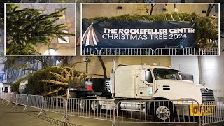 Rockefeller Center Christmas Tree Arrives in NYC Celebrating 93 Years of Holiday Tradition [upl. by Eusassilem]