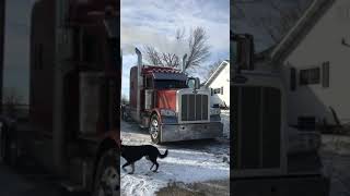 Peterbilt 389 Cold Start Cummins N14 😍December 31 2022 [upl. by Usanis]