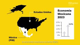 El impacto de la volatilidad y la inflación para el inversionista mexicano [upl. by Ttehr774]