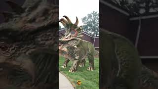 Sinoceratops teamjurassic jurassicworld dinosaur jurrassic [upl. by Kingston]