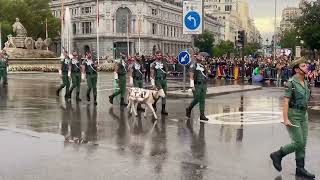 Desfile 12 de Octubre 2024  La Legión [upl. by Dellora]