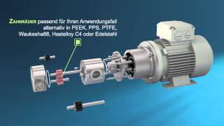 Scherzinger Zahnradpumpen Vielfältig und ausdauernd [upl. by Notsyrb280]