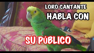 LORO CANTANDO HABLA CON SU PUBLICO [upl. by Armilda]