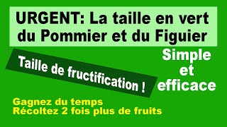 URGENT La taille en vert du pommier et du figuier [upl. by Nyssa658]