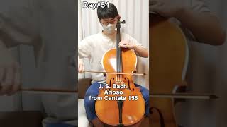 Day54 Johann Sebastian Bach Arioso from Cantata 156 shorts [upl. by Aiseneg]