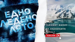 Едно ледено лято – епизод 2 quotТайният живот на ледницитеquot [upl. by Allenad]