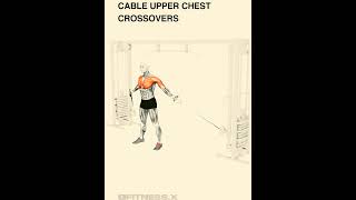 Advanced Workout for a Chiseled Chest ytshorts youtubeshorts workout [upl. by Naic703]