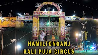 149 Royal Circus  Hamiltonganj Kali Puja Circus  Circus Full Show [upl. by Ramirolg]