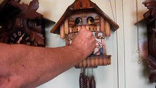 Oompah Band musical cuckoo clock [upl. by Saleme]