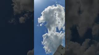 Sky Lover 🤍🕊️🌫️🌼sky shortvideos music love viral [upl. by Chun]