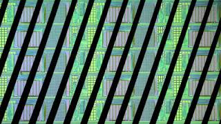 Slitdisk Spinning Disk Confocal Scanner Demonstration [upl. by Aivun]