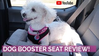 Reviewing a Booster Seat for Dogs [upl. by Drarej]