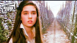 Labyrinth Lost in the Maze Jennifer Connelly HD Clip [upl. by Sada891]