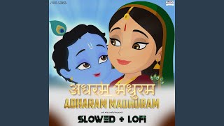 Adharam Madhuram Slowed Lofi [upl. by Melone]