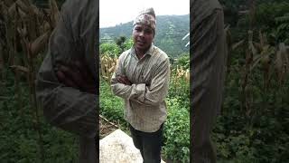 नमुछे आमा दहिमा टिका नछरे जमरा दशैं गीत namuchhe aama dahima tika nachhare jamara Dashain Song [upl. by Meggy]